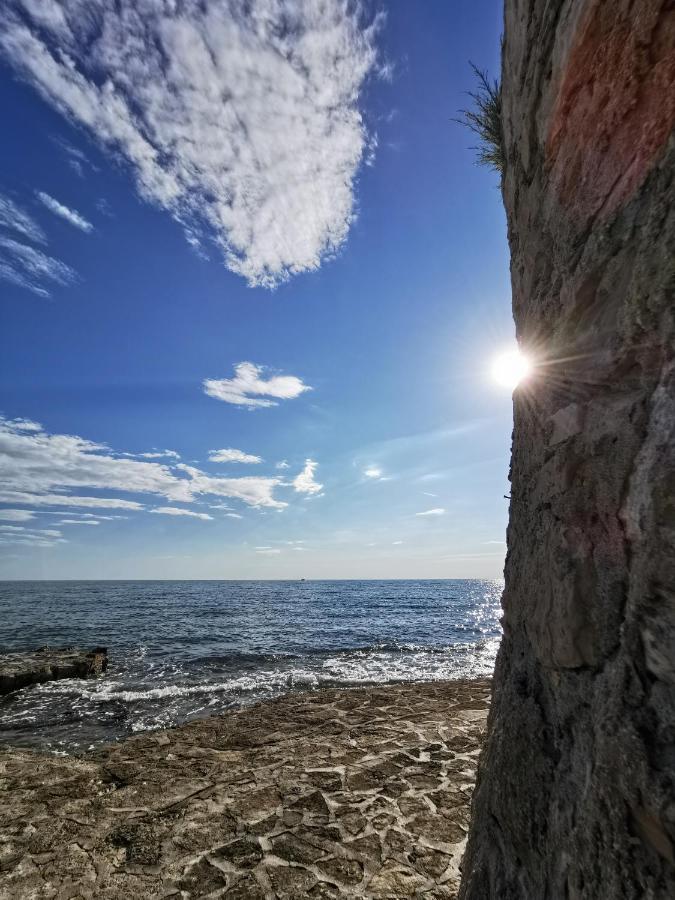 Lora Deluxe Superior 5 Star Apartment, Your Piece Of Heaven By The Sea & Park With Sea & Park View Novigrad Istria Extérieur photo