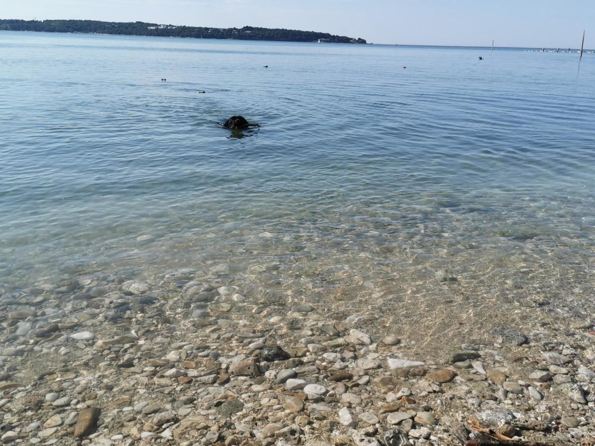 Lora Deluxe Superior 5 Star Apartment, Your Piece Of Heaven By The Sea & Park With Sea & Park View Novigrad Istria Extérieur photo