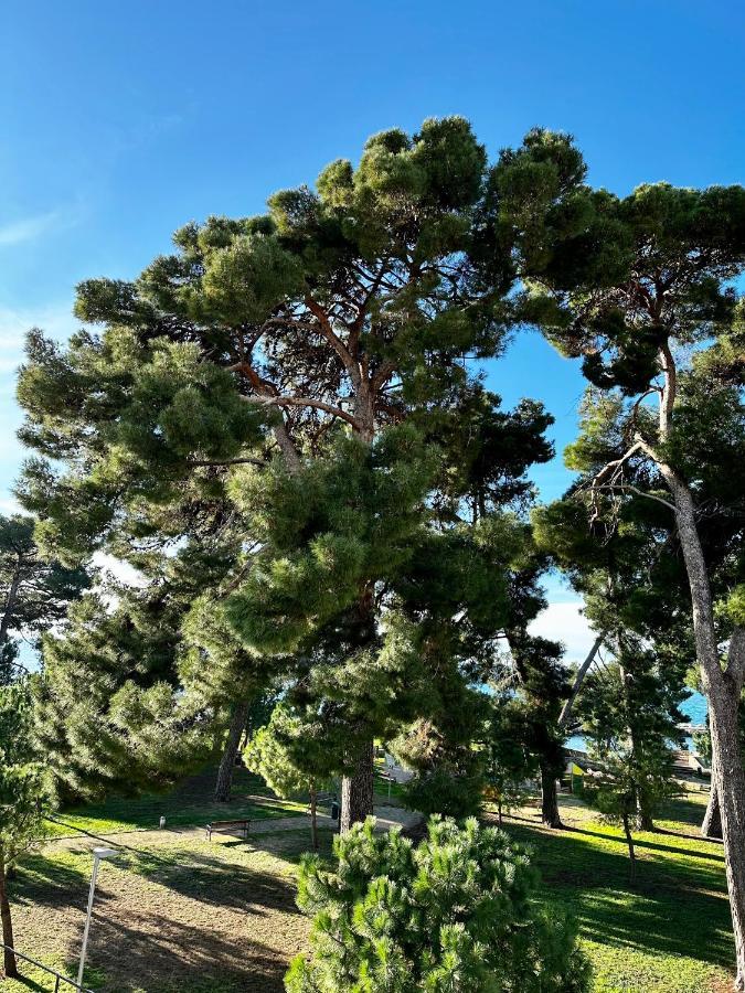 Lora Deluxe Superior 5 Star Apartment, Your Piece Of Heaven By The Sea & Park With Sea & Park View Novigrad Istria Extérieur photo